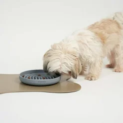 Staey Slowfeeder< Foder & Tilbehør