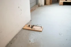 SafeTrap Smækfælde mod Rotter< Skadedyrsbekæmpelse