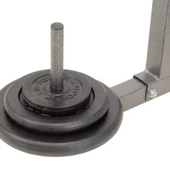 TOORX Squatrack - Vægtskiveholder Everfit WBK-300< Træningsmaskiner
