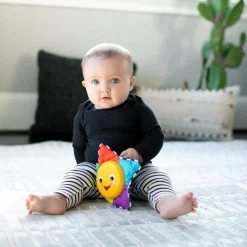 Baby Einstein Musik<Star Bright Symphony