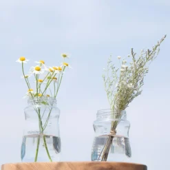 Mininor Sutteflasker & Tilbehør<Sutteflaske glas