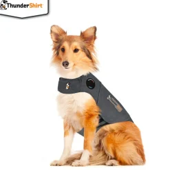 Thundershirt < Øvrigt
