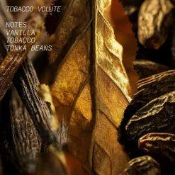 L'Atelier Parfum Tobacco Volute< Miniparfumer