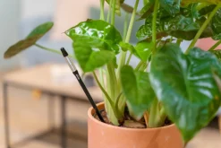ECOstyle Øvrigt<Vandmåler til Planter