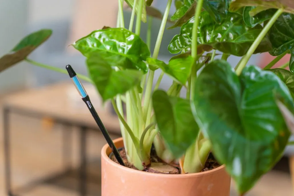 ECOstyle Øvrigt<Vandmåler til Planter