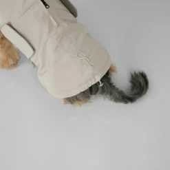 Staey Øvrigt><noscript><img width=