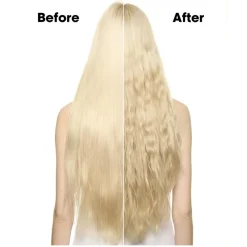 L'Oréal Professionnel Volumen<Volume Panache