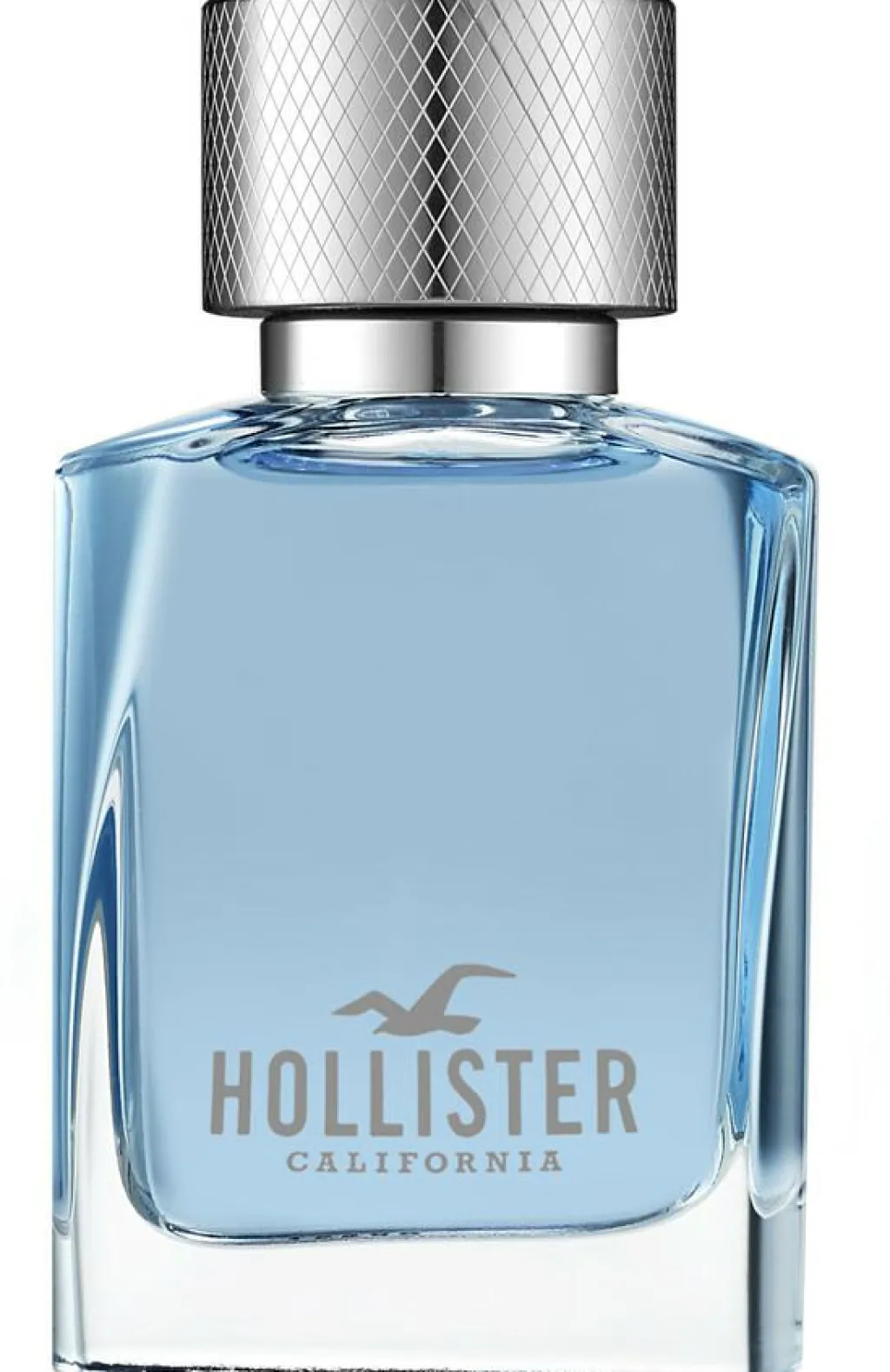 Hollister Wave For Him Eau de Toilette< Eau De Toilette|Eau De Toilette