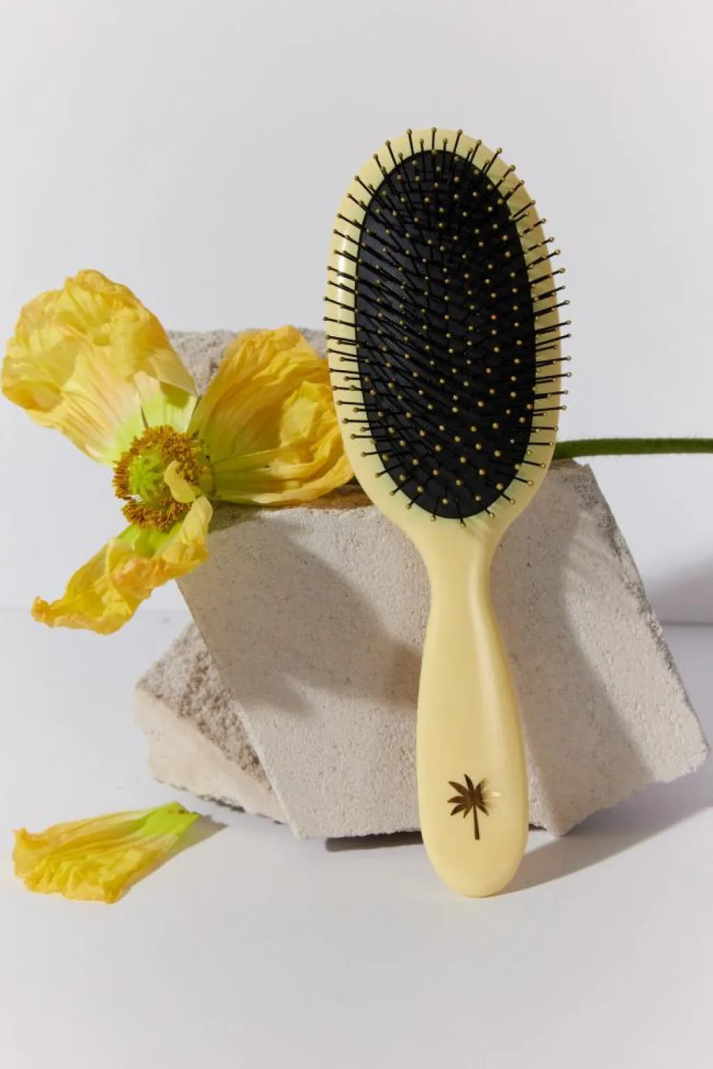 Fan Palm Wet Brush< Hårbørster