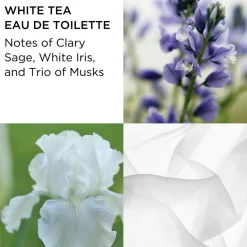 Elizabeth Arden Gaveæsker|Hudpleje Gaveæsker<White Tea