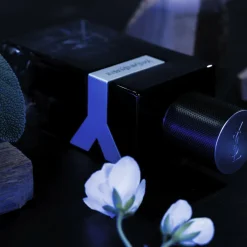 Yves Saint Laurent Y Eau de Parfum< Eau De Parfum|Eau De Parfum