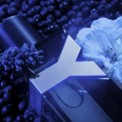 Yves Saint Laurent Eau De Parfum|Eau De Parfum<Y Eau de Parfum Intense