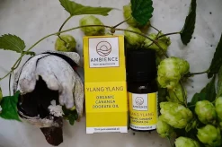 Ambience Duft Til Hjemmet|Duftolier<Ylang ylang Olie Økologisk