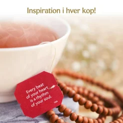 Yogi Te><noscript><img width=