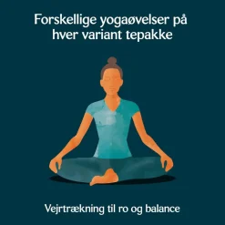 Yogi Te<Tea Liquorice Mint Ø